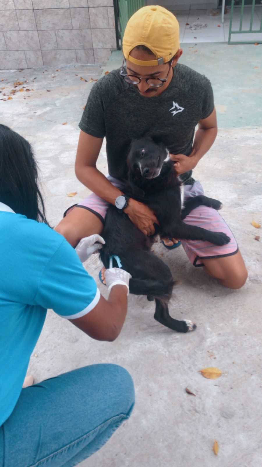 Camacã: Prefeitura realizou vacinação contra a raiva em cães e gatos